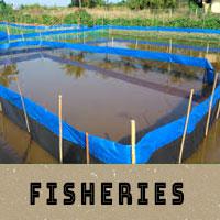 Fisheries and Aquaculture